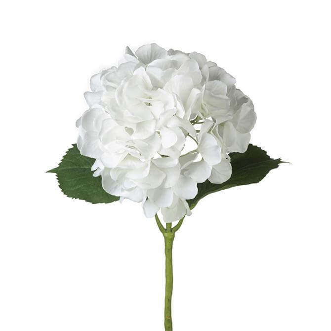 Parlane Hydrangea Stem-White